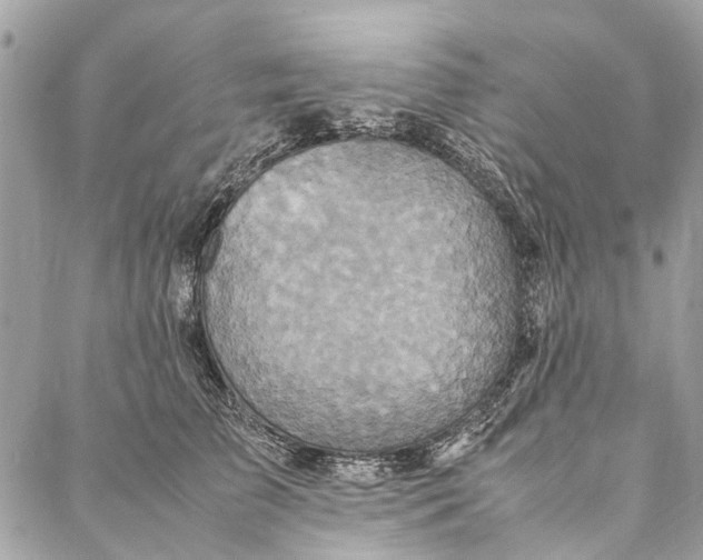 X0000086940709200705071418