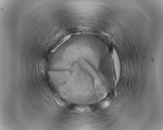 X0000086940712200705071418