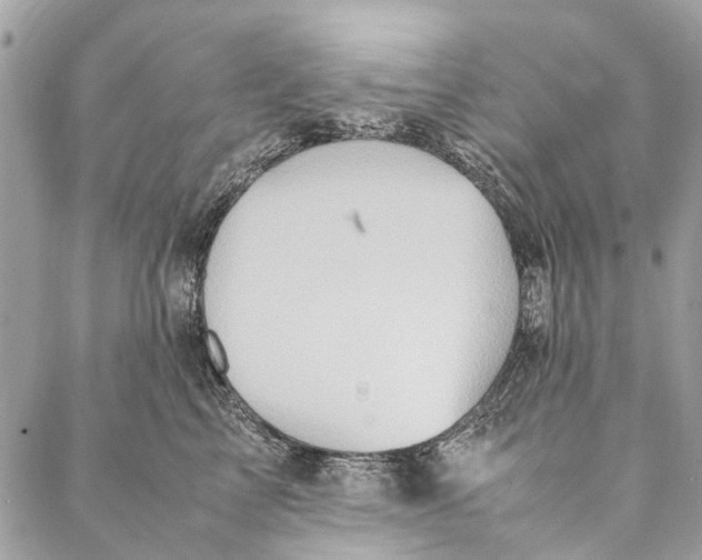 X0000086940713200705071418