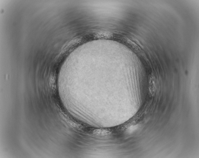 X0000086940714200705071418