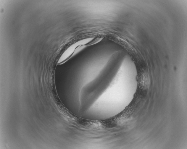 X0000086940715200705071418