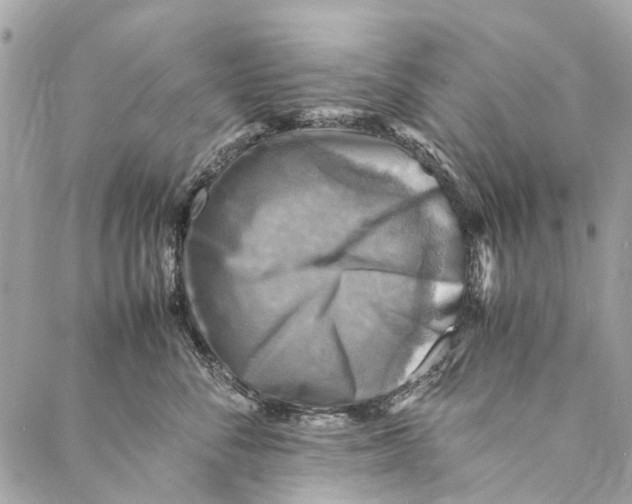 X0000086940716200705071418