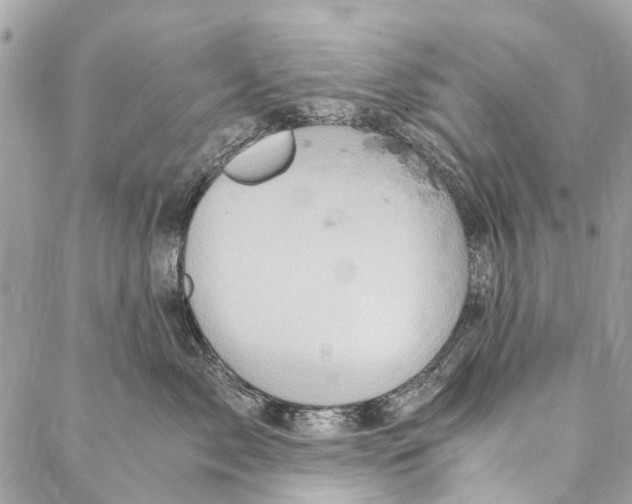 X0000086940717200705071418