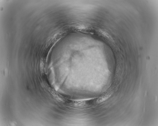 X0000086940720200705071418