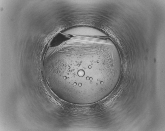 X0000086940721200705071417