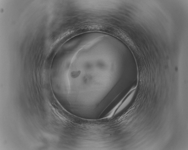 X0000086940722200705071417