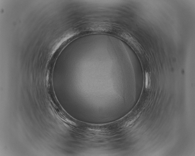 X0000086940723200705071417