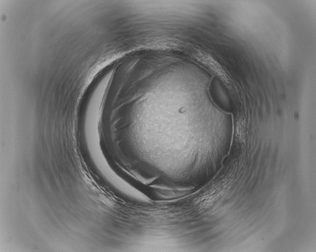 X0000086940724200705071417