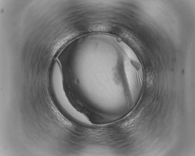 X0000086940725200705071417