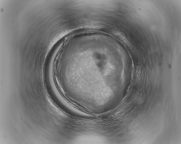 X0000086940726200705071417