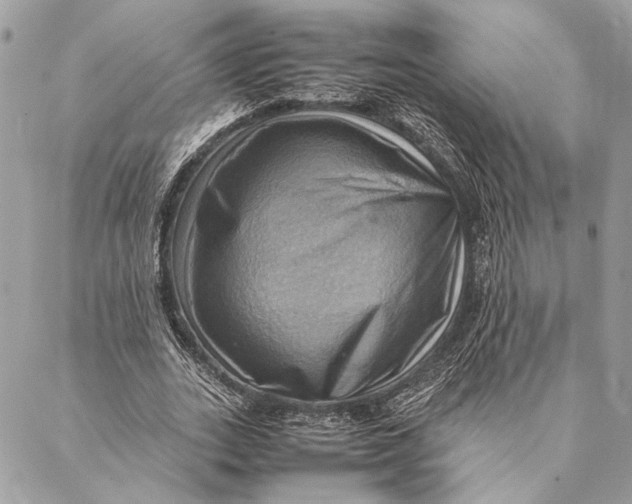 X0000086940727200705071417