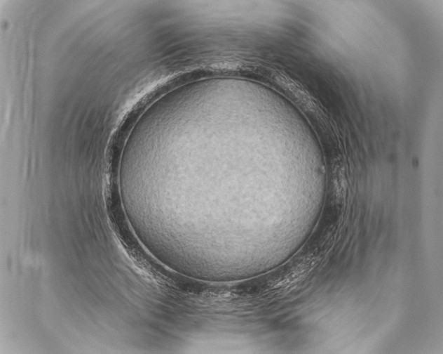 X0000086940728200705071417