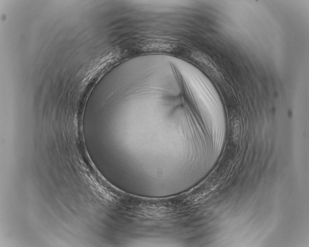 X0000086940729200705071417