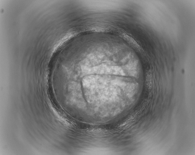 X0000086940730200705071417