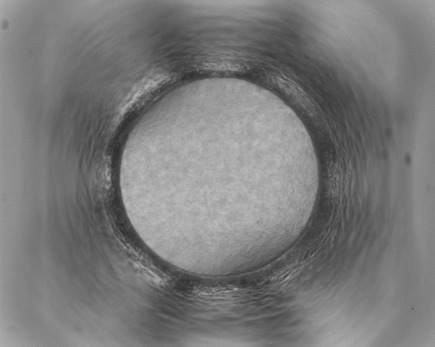 X0000086940731200705071417