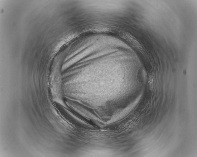 X0000086940732200705071417