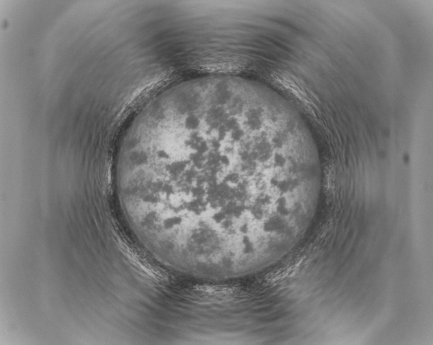 X0000086940733200705071417