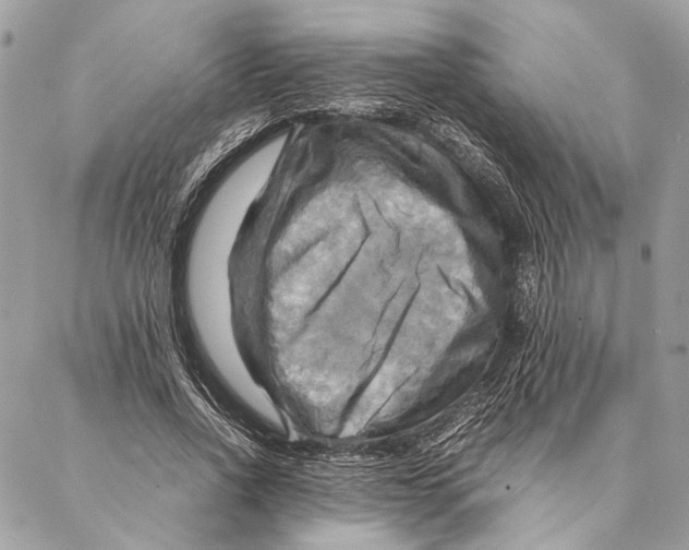 X0000086940734200705071417