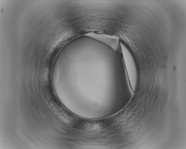 X0000086940735200705071417