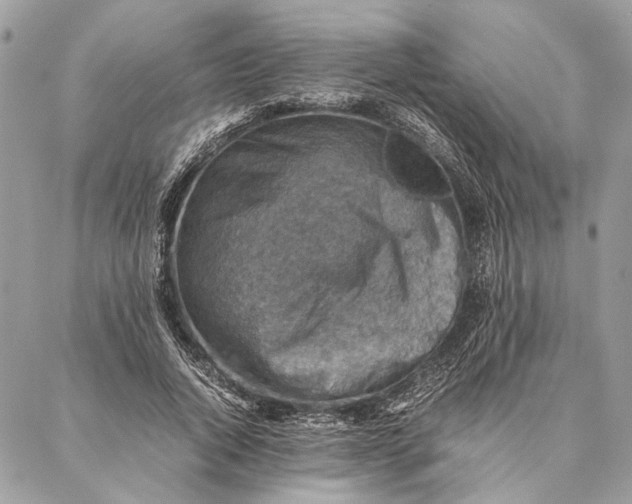 X0000086940736200705071417