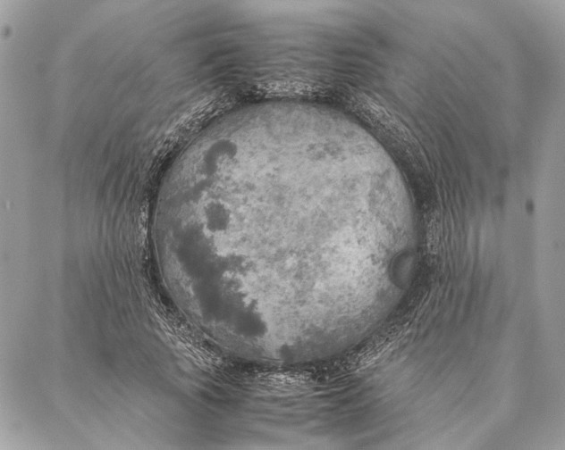 X0000086940737200705071417