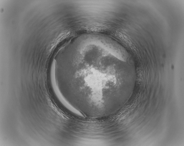 X0000086940738200705071417