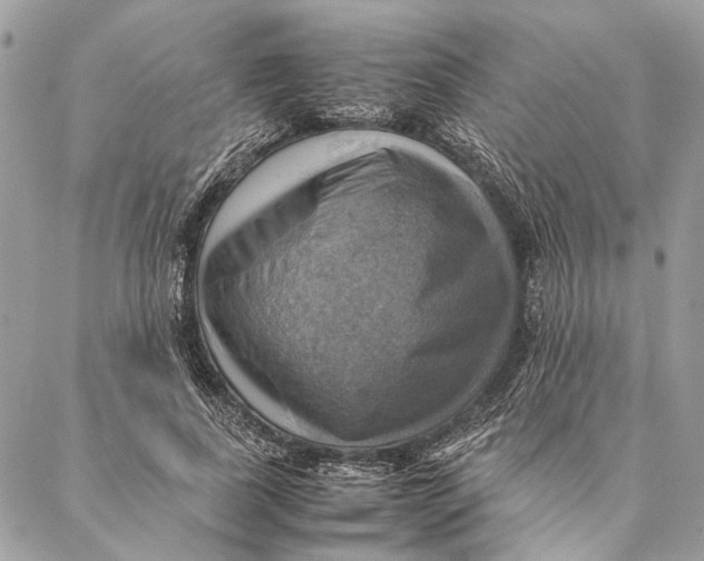 X0000086940739200705071417