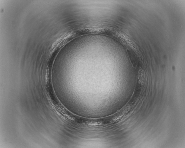 X0000086940740200705071417