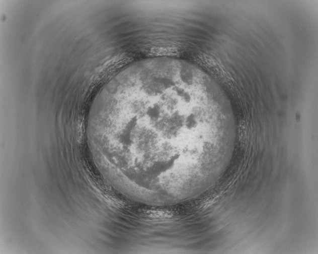 X0000086940741200705071417