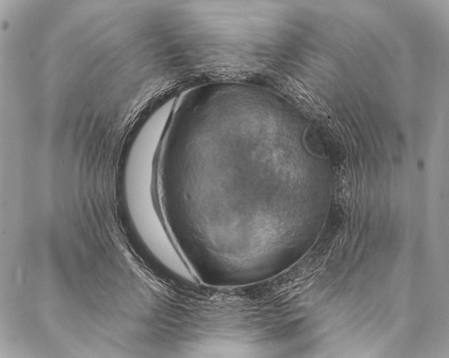 X0000086940742200705071417