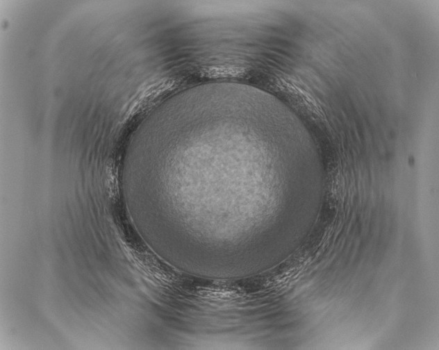 X0000086940743200705071417