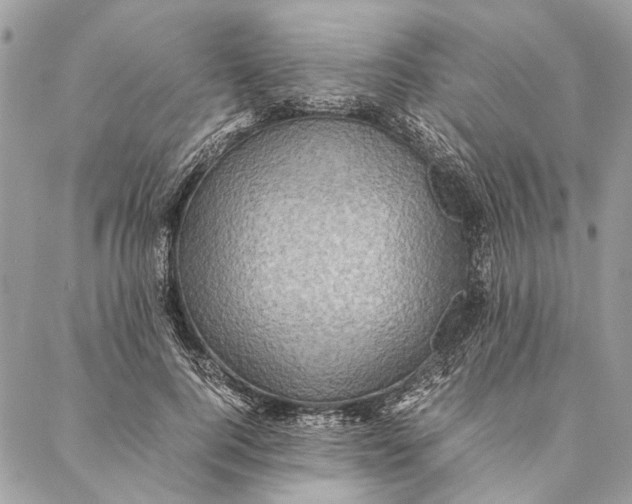 X0000086940744200705071417