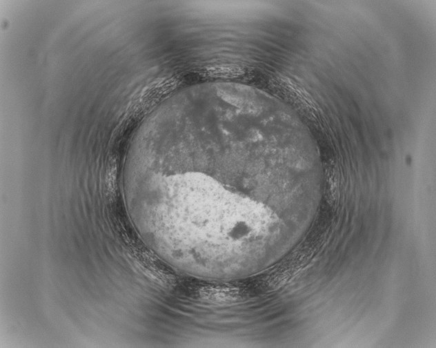 X0000086940745200705071417