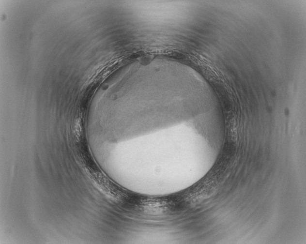 X0000086940746200705071418