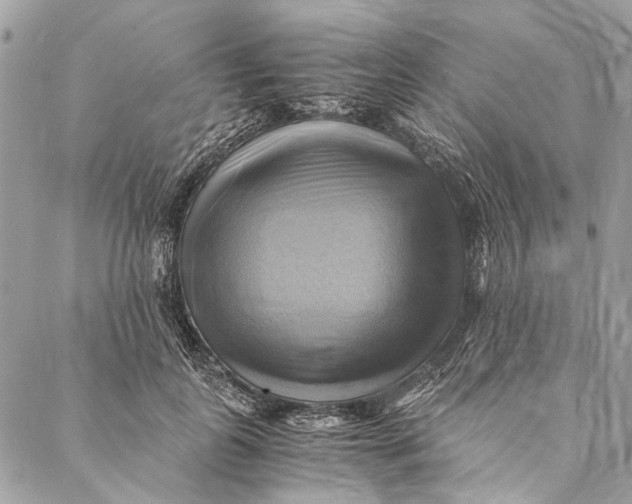 X0000086940747200705071418