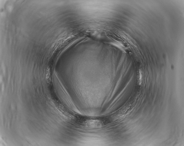 X0000086940748200705071418