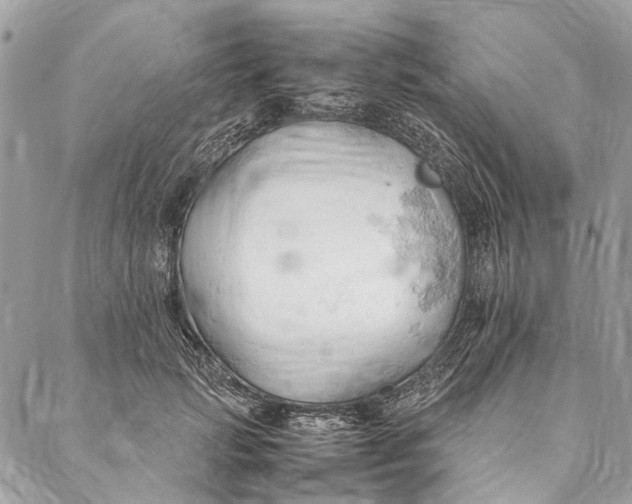 X0000086940749200705071418