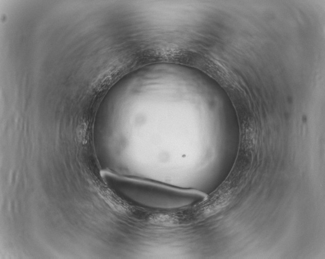 X0000086940750200705071418