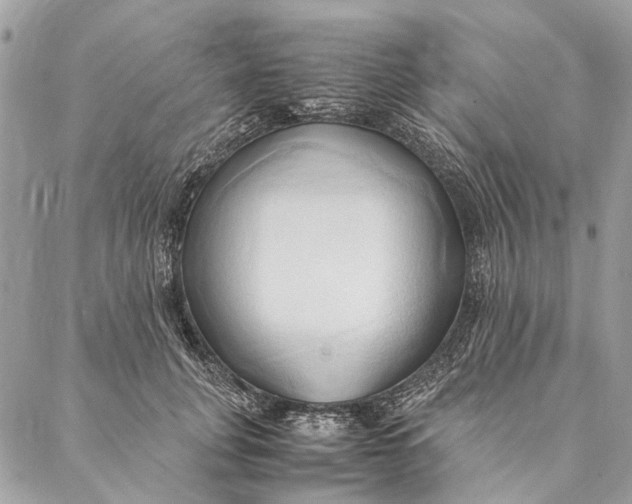 X0000086940751200705071418