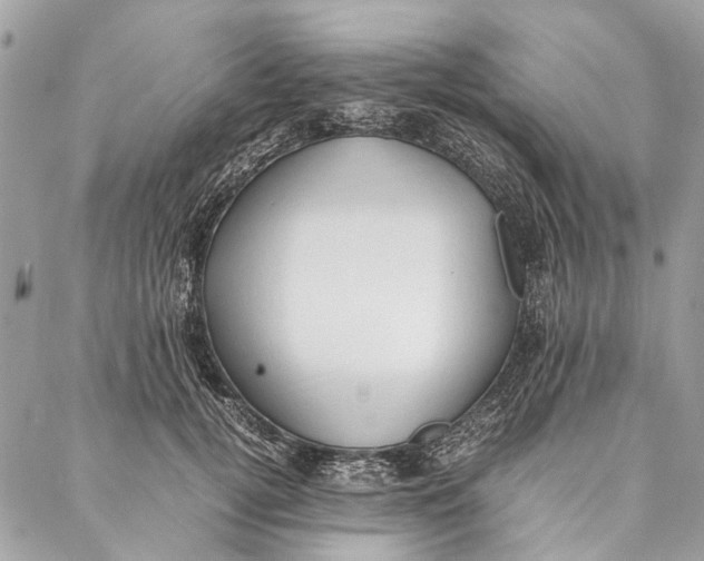 X0000086940752200705071418