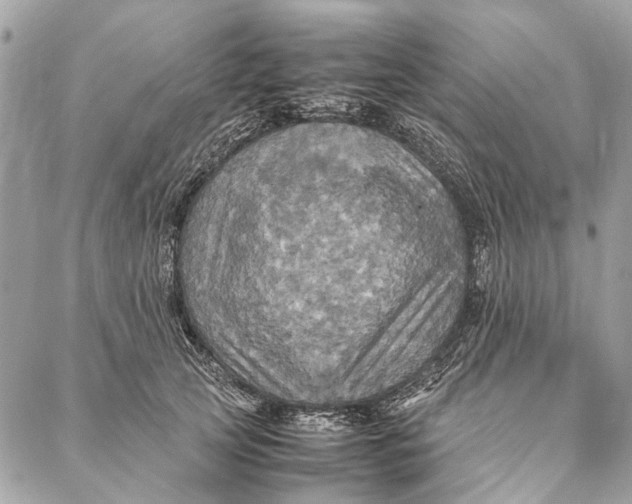 X0000086940753200705071418