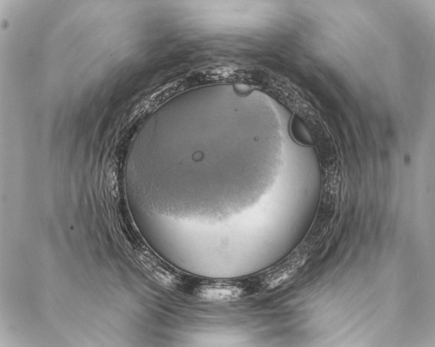 X0000086940754200705071418