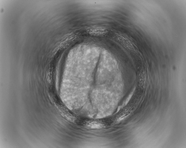 X0000086940755200705071418