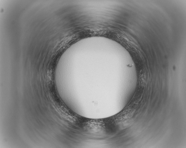 X0000086940756200705071418