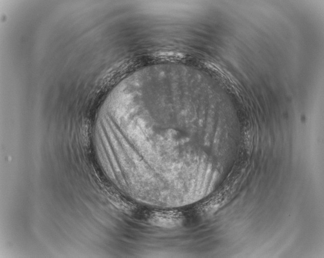 X0000086940757200705071418