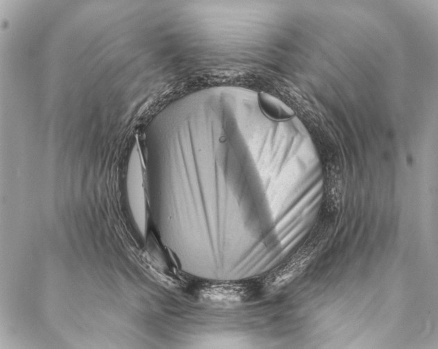 X0000086940758200705071418