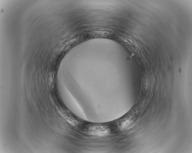 X0000086940759200705071418