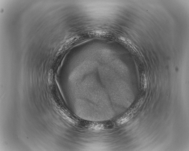 X0000086940760200705071418