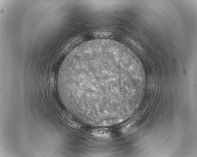 X0000086940761200705071418