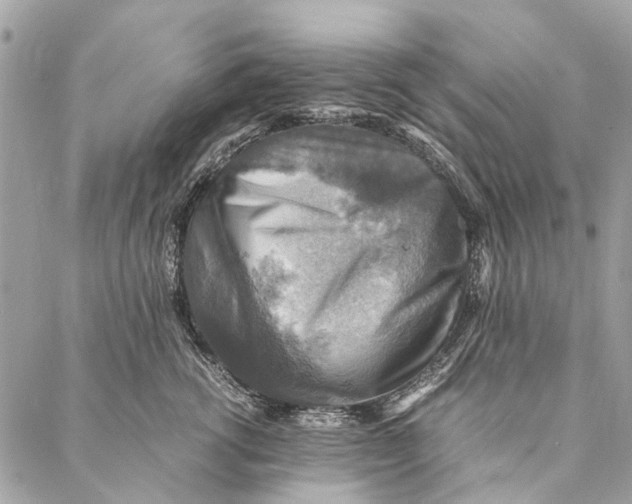 X0000086940762200705071418